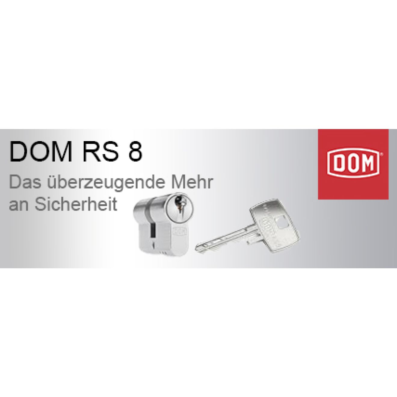 DOM RS8 Schließanlage