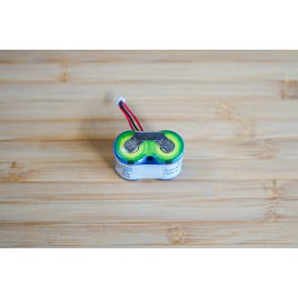EasyFlex Batterie