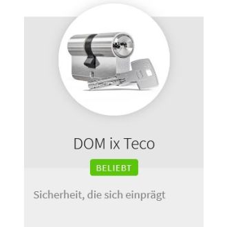 DOM IX Teco
