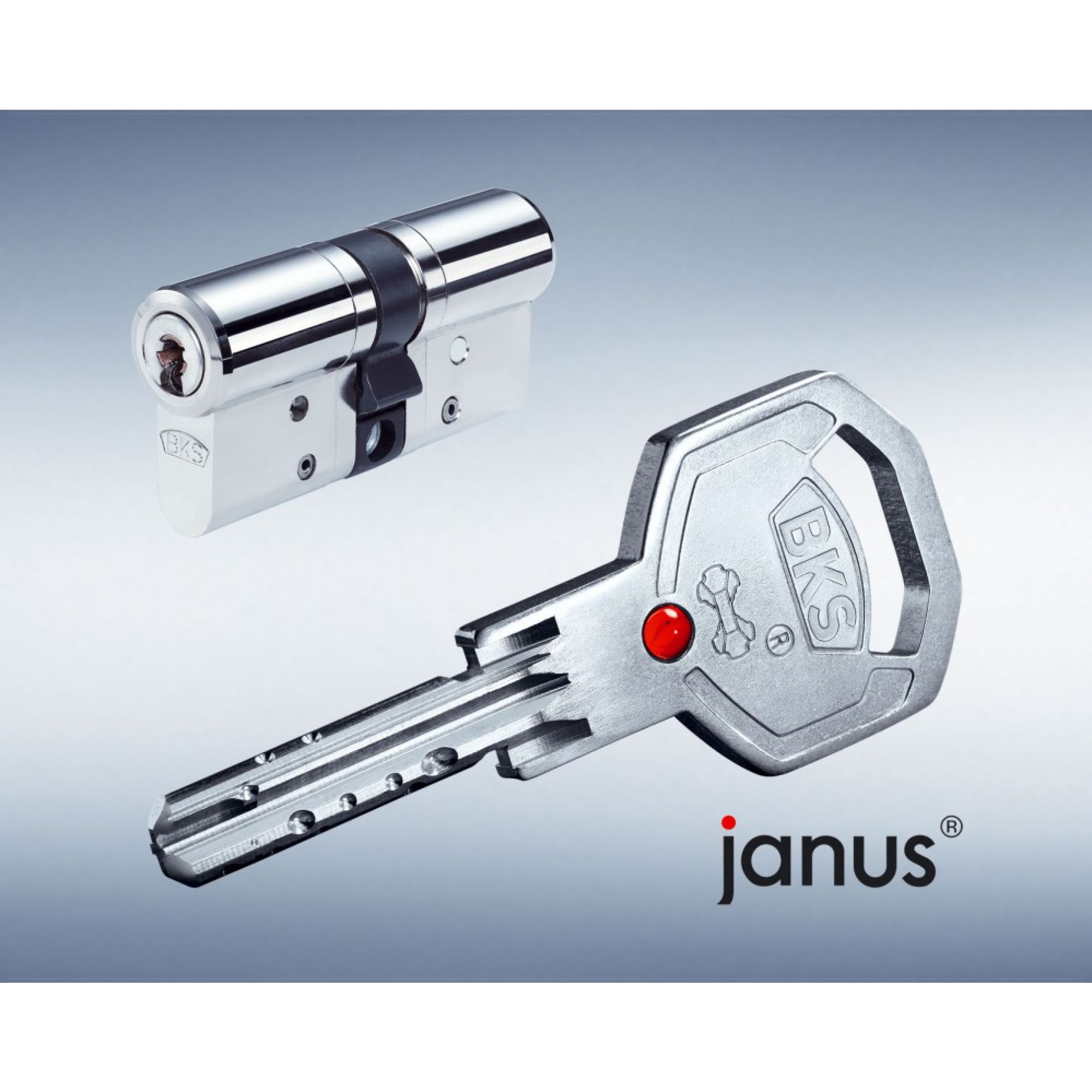 Janus Chrom Nickel Schließzylinder Janus Chrom Nickel Schließzylinder